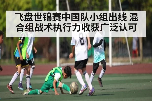 飞盘世锦赛中国队小组出线 混合组战术执行力收获广泛认可